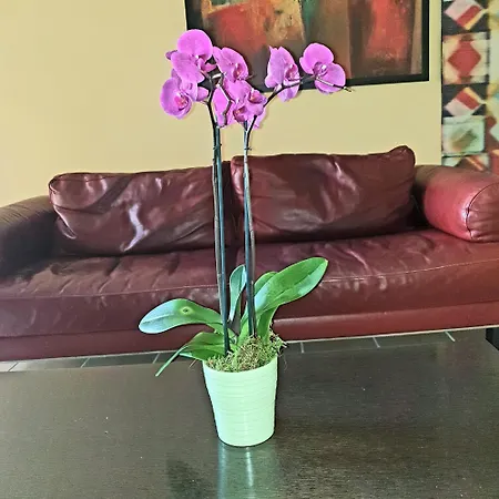 Apartmán Giacarda Salerno